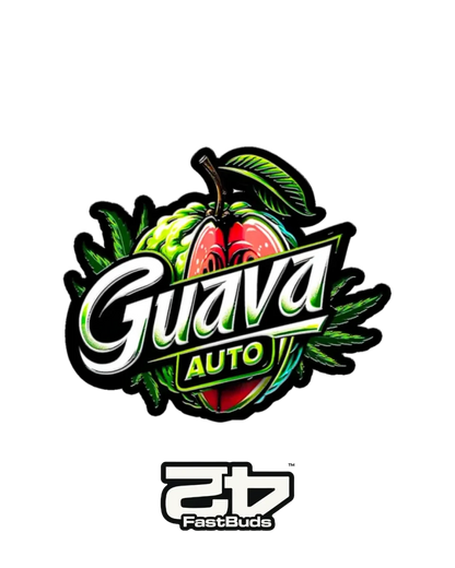 Guava Auto Fast Buds