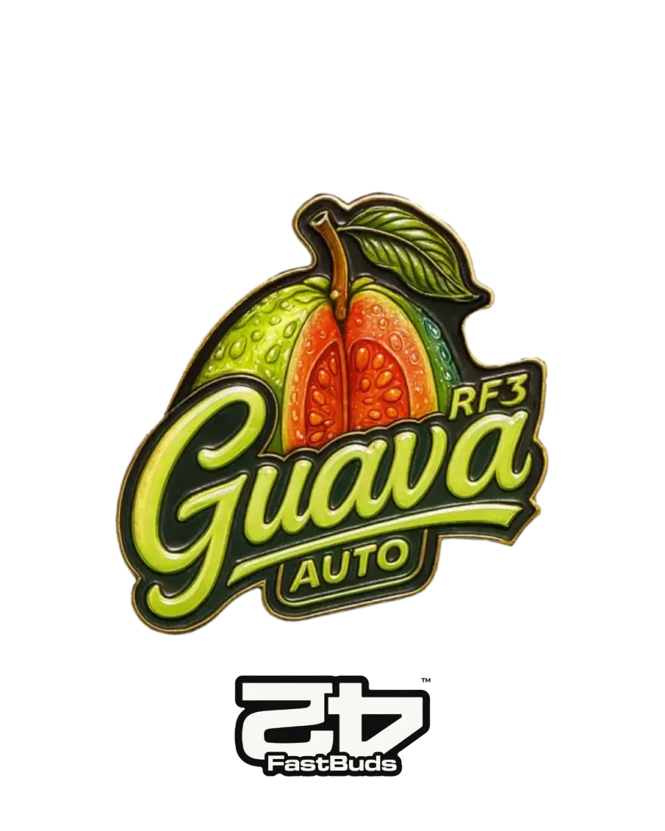 Guava Auto RF3