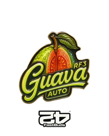 Guava Auto RF3