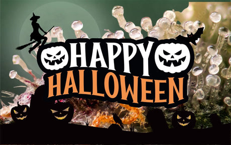 Halloween Rabatte auf Cannabis Samen