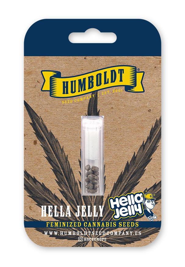 Hella Jelly Cannabis Samen Packung