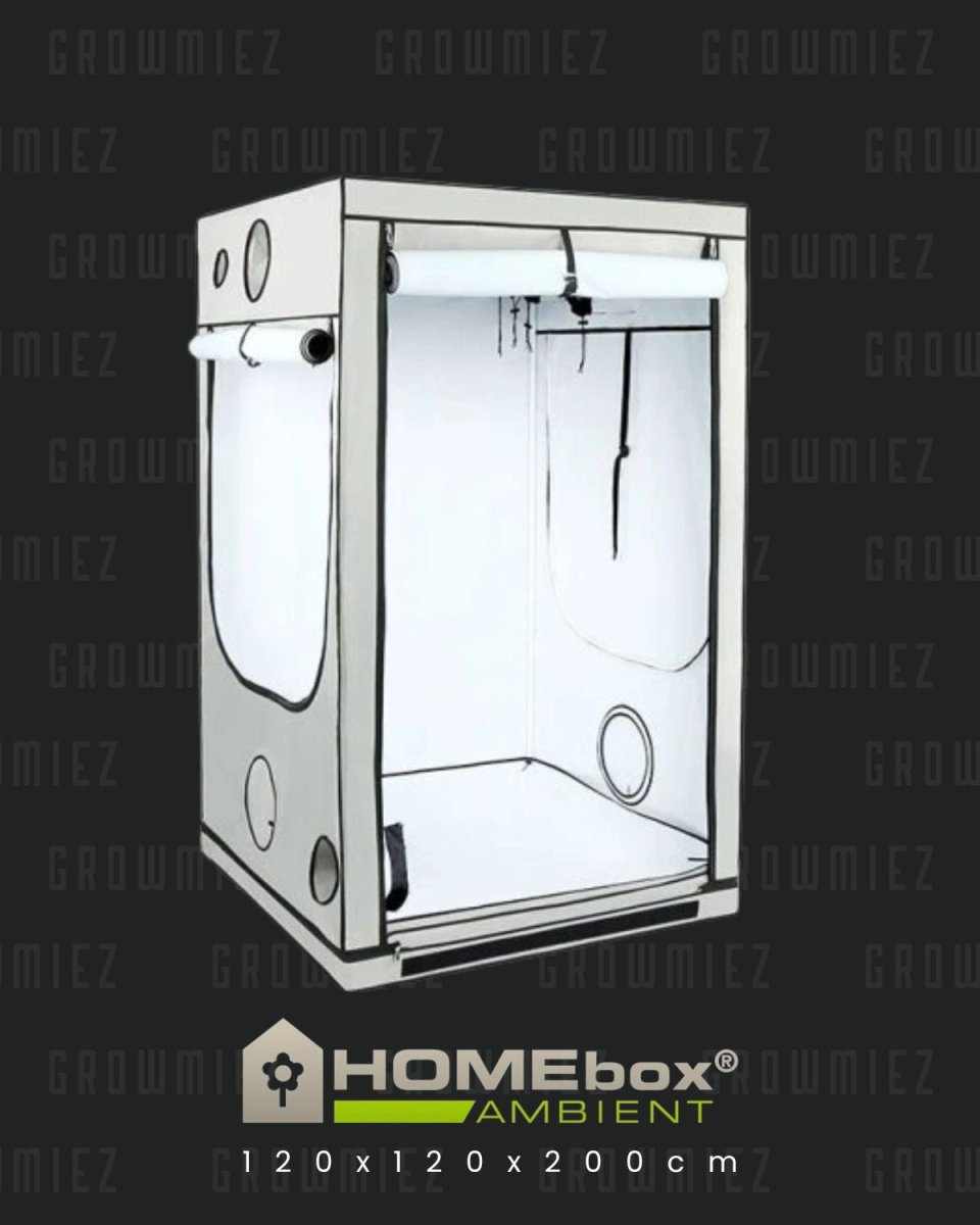 Homebox Ambient Q120 und Q120+| Growbox 120x120cm