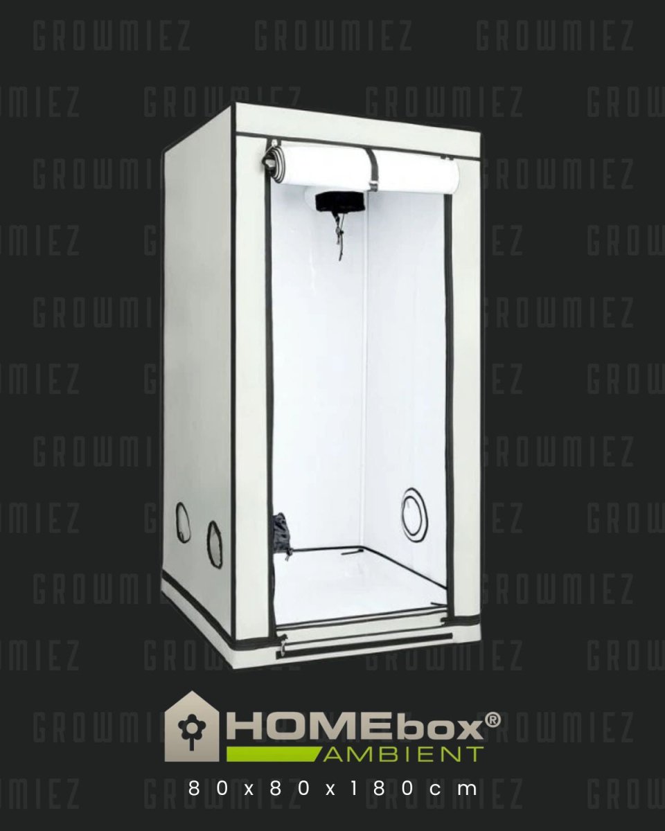 Growzelt Homebox 80x80