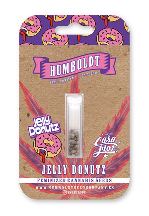 jelly-donutz-humboldt-seed-company