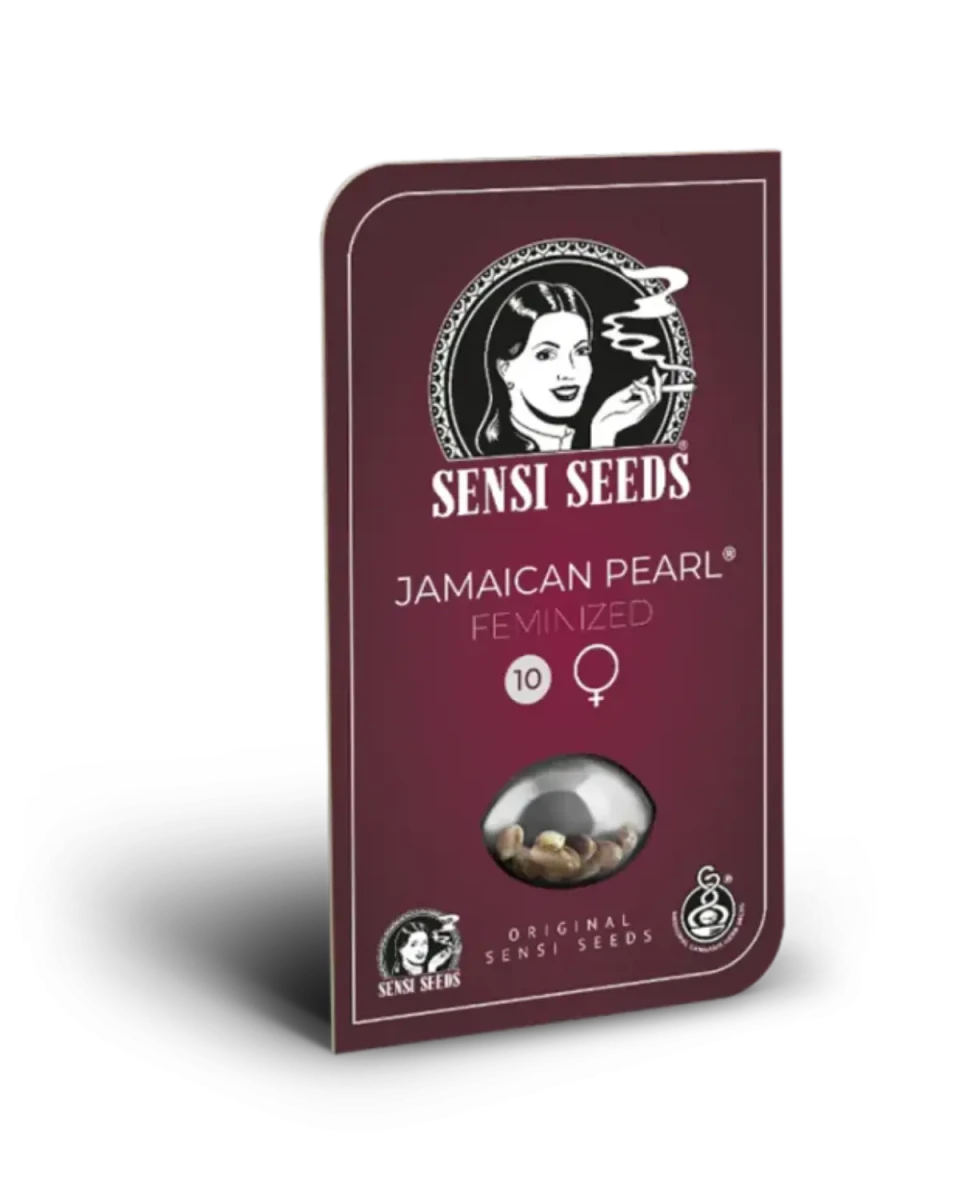 Jamaican Pearl von Sensi Seeds – Samenpackung, feminisierte Cannabis Samen