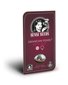 Jamaican Pearl von Sensi Seeds – Samenpackung, feminisierte Cannabis Samen
