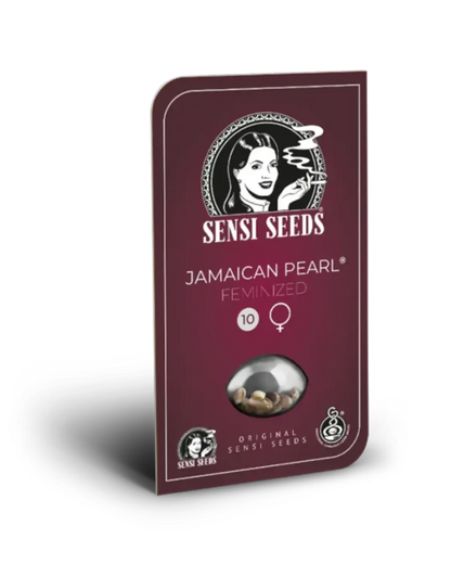 Jamaican Pearl von Sensi Seeds – Samenpackung, feminisierte Cannabis Samen