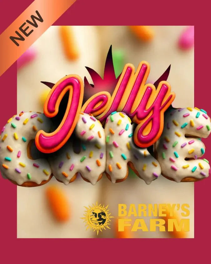 Jelly Cake Cannabis Samen, Barneys Farm