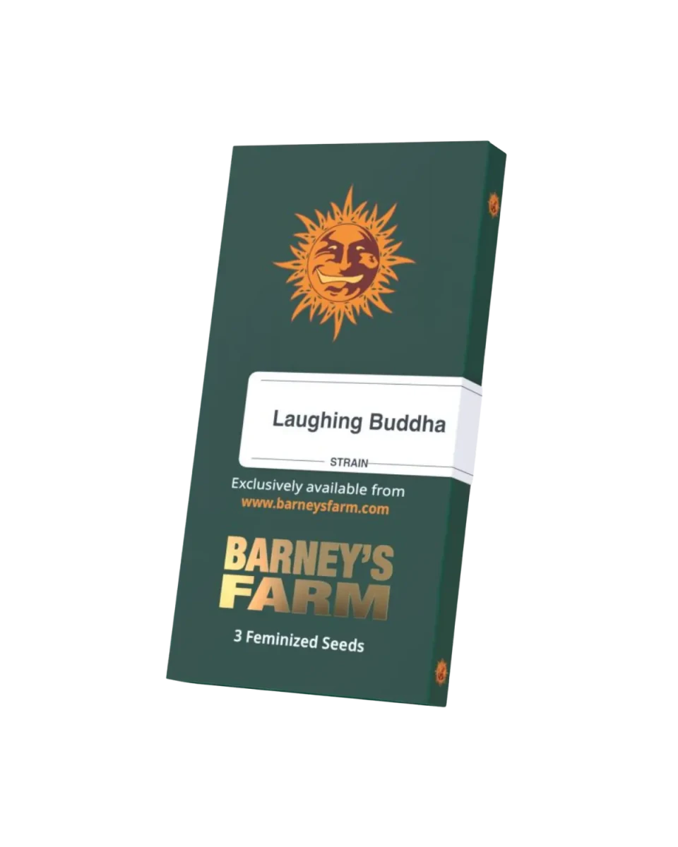 Barneys Farm Laughing Buddha feminisierte Cannabis-Samen - Originalverpackung