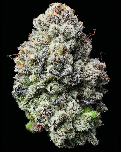 barneys-farm-lemon-cherry-gelato