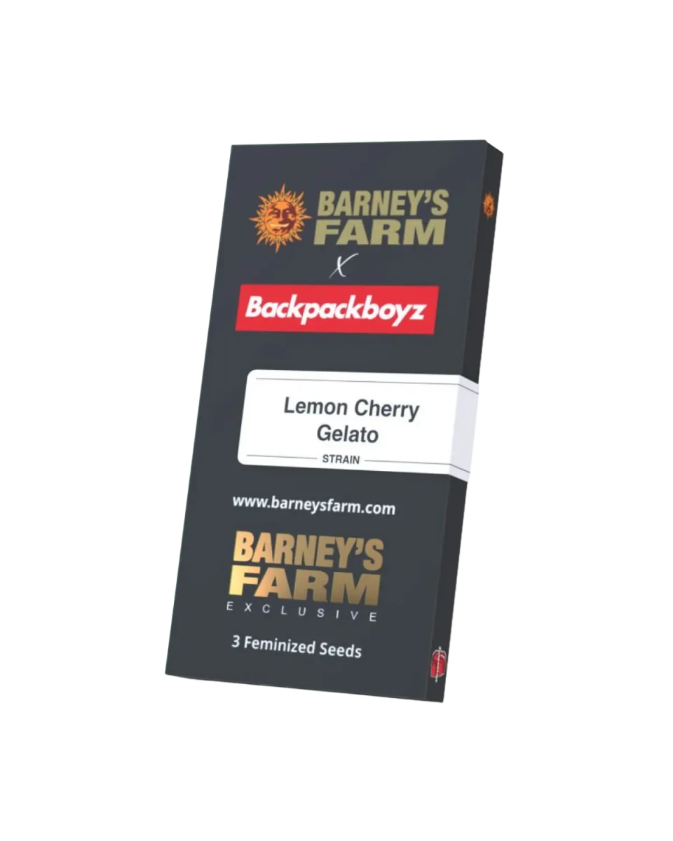 Lemon Cherry Gelato Cannabis Samen