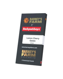 Lemon Cherry Gelato Cannabis Samen