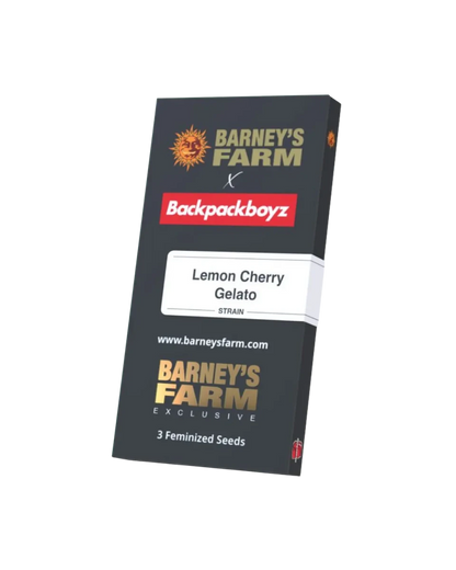 Lemon Cherry Gelato Cannabis Samen