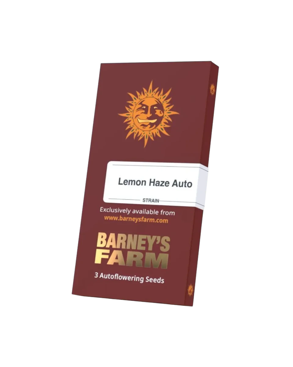 Lemon Haze Auto Originalverpackung