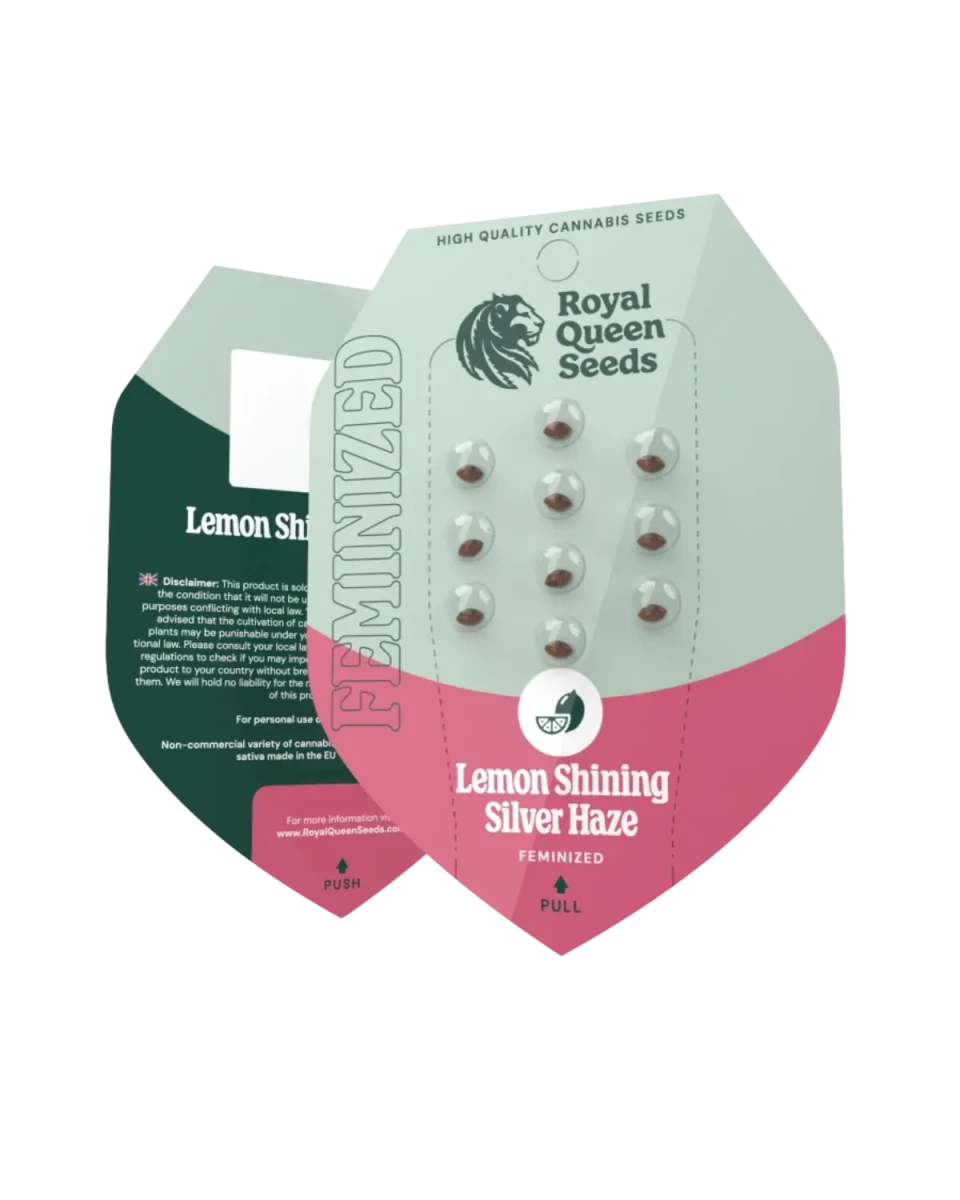 Samenpackung Lemon Shining Silver Haze