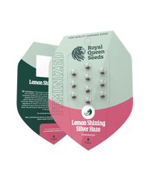 Samenpackung Lemon Shining Silver Haze
