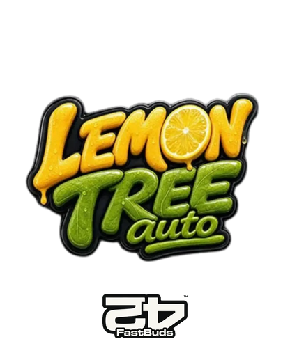 Lemon Tree Auto
