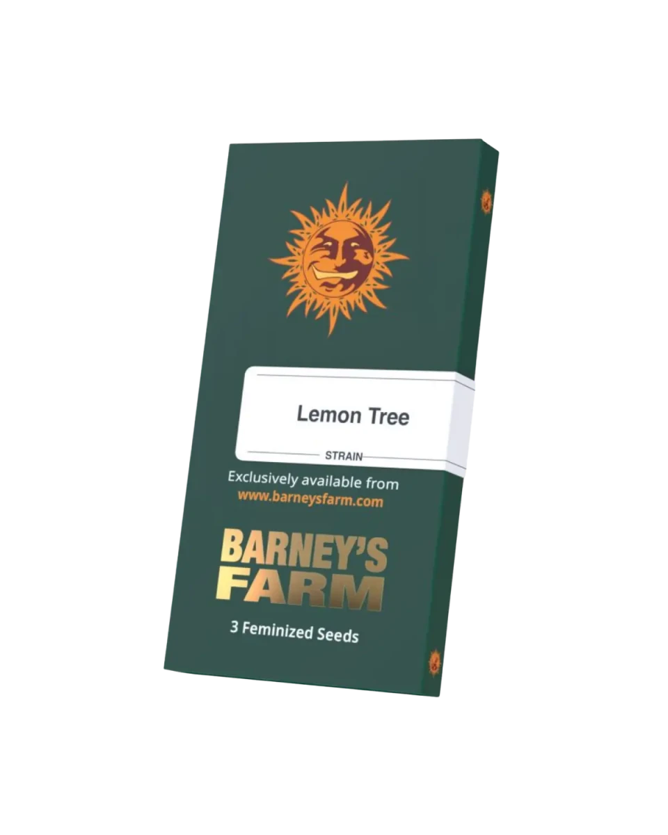 Barneys Farm Lemon Tree feminisierte Cannabis-Samen – Original-Verpackung