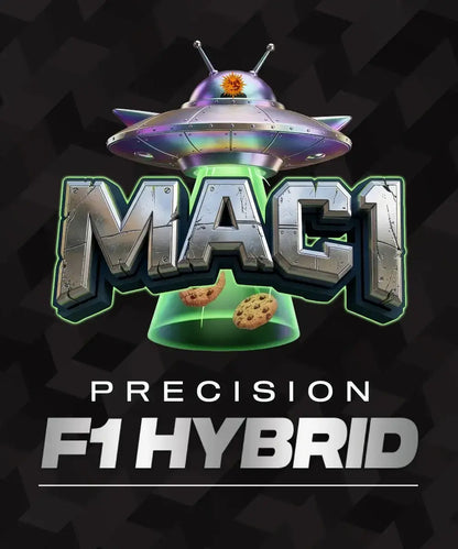 MAC1 F1 Hybrid