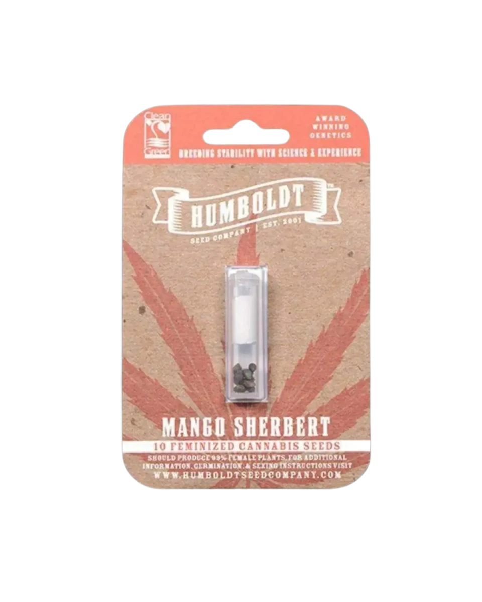 Mango Sherbet Cannabis Samen