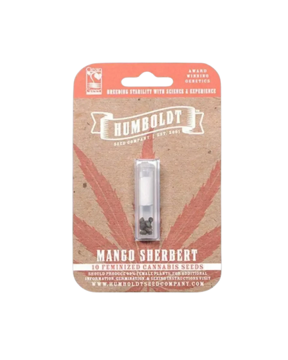 Mango Sherbet Cannabis Samen