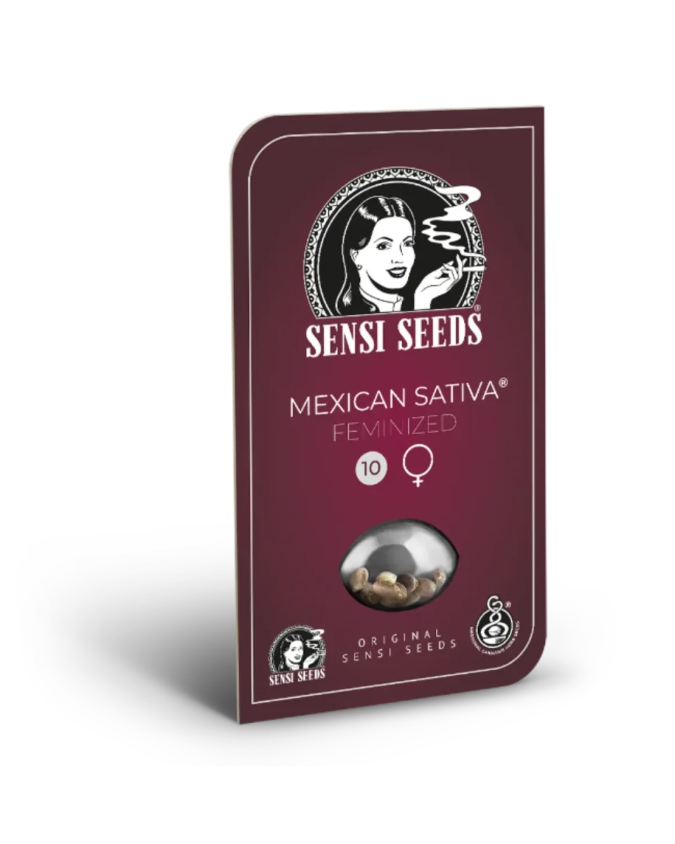 Sensi Seeds Mexican Sativa Originalverpackung