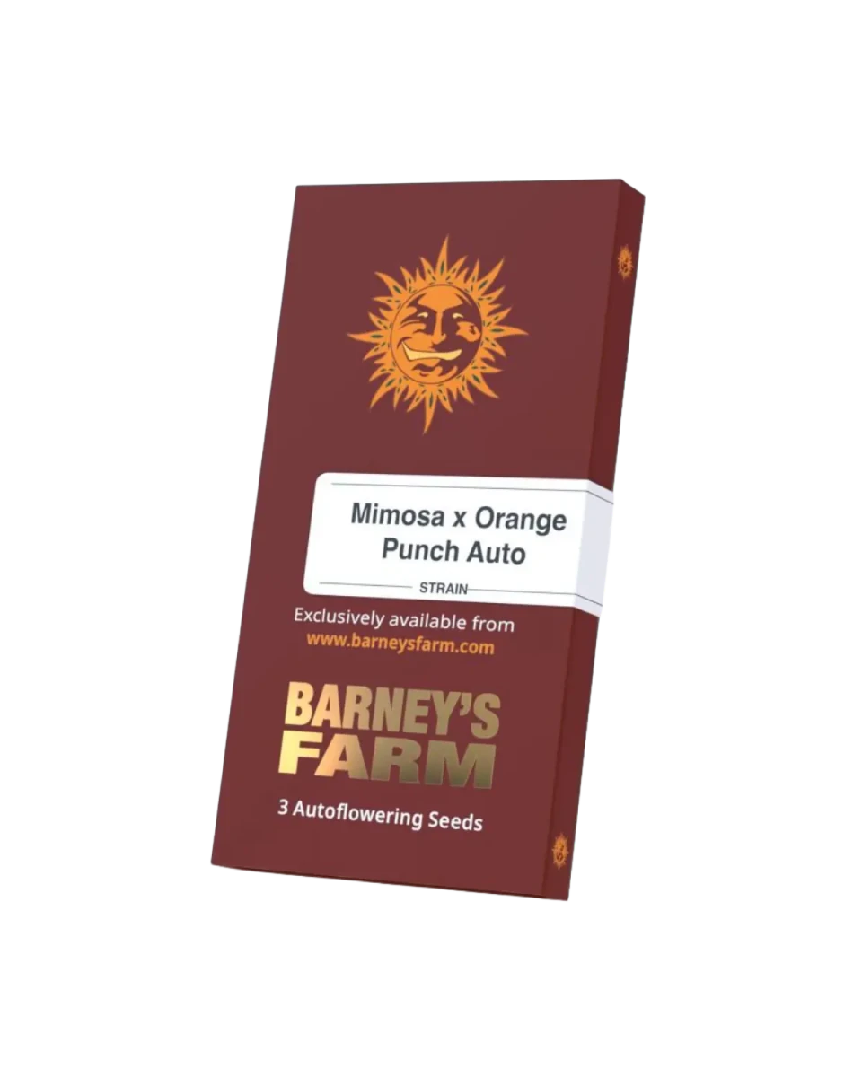 Mimosa Orange Punch Auto Packung