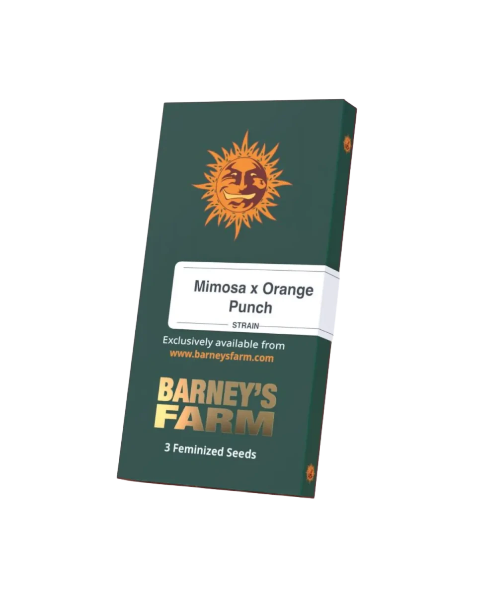 Mimosa x Orange Punch Samenverpackung