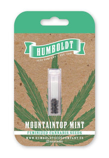 mountaintop-mint-humboldt-seed-company