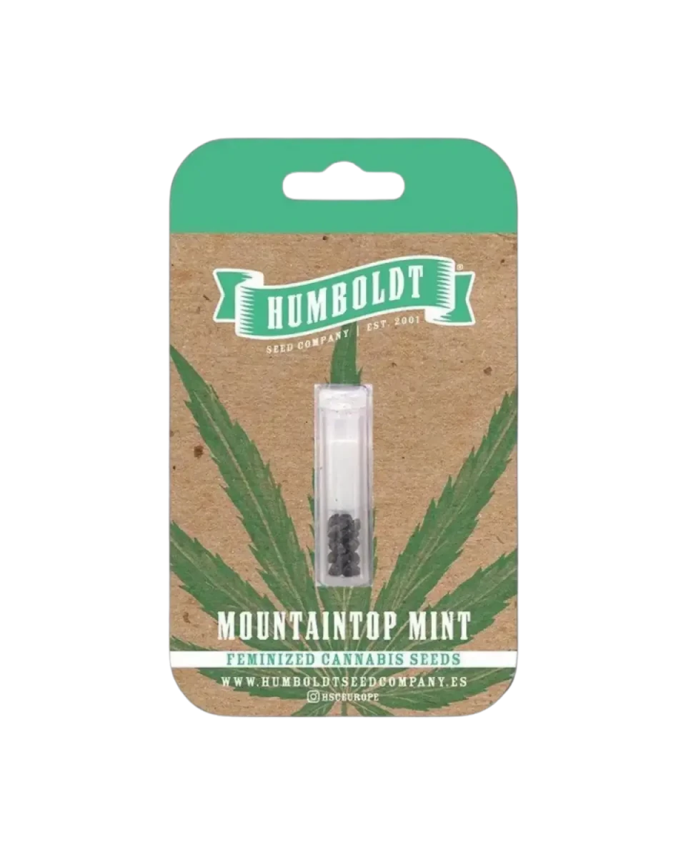 Mountaintop Mint von Humboldt Seed Company