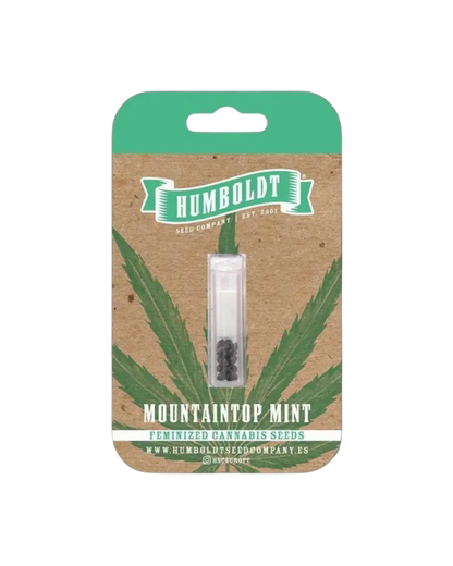 Mountaintop Mint von Humboldt Seed Company