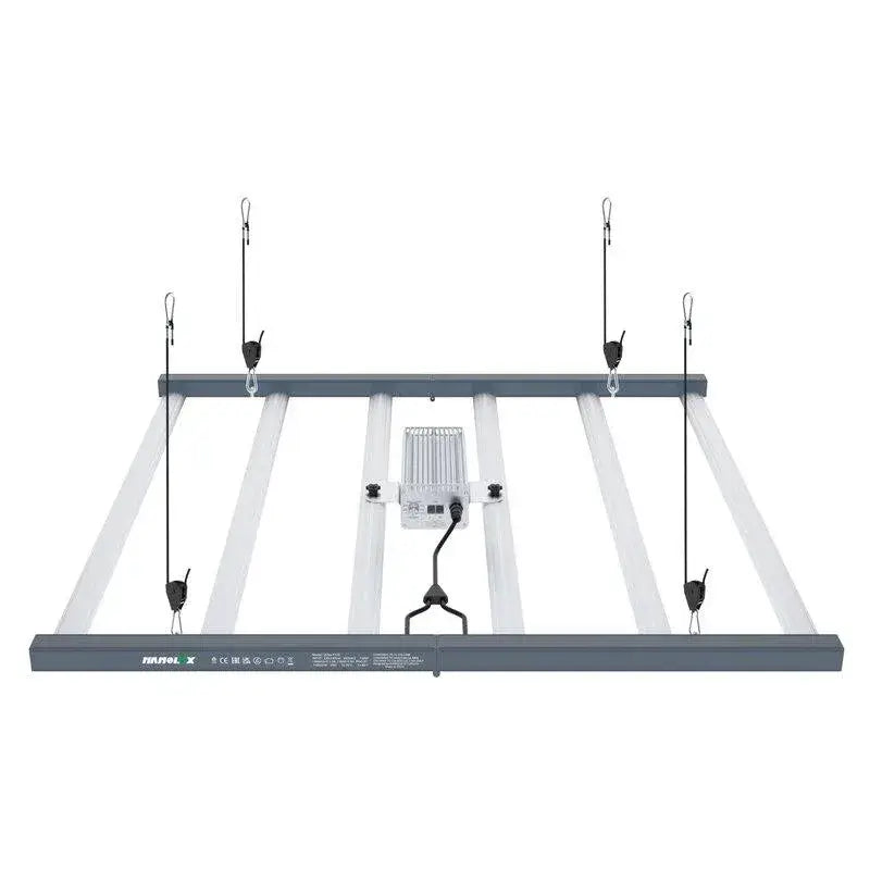 Nanaolux Grow Lampe LED 