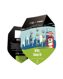NY Sour Diesel Auto von Royal Queen Seeds; Originalverpackung