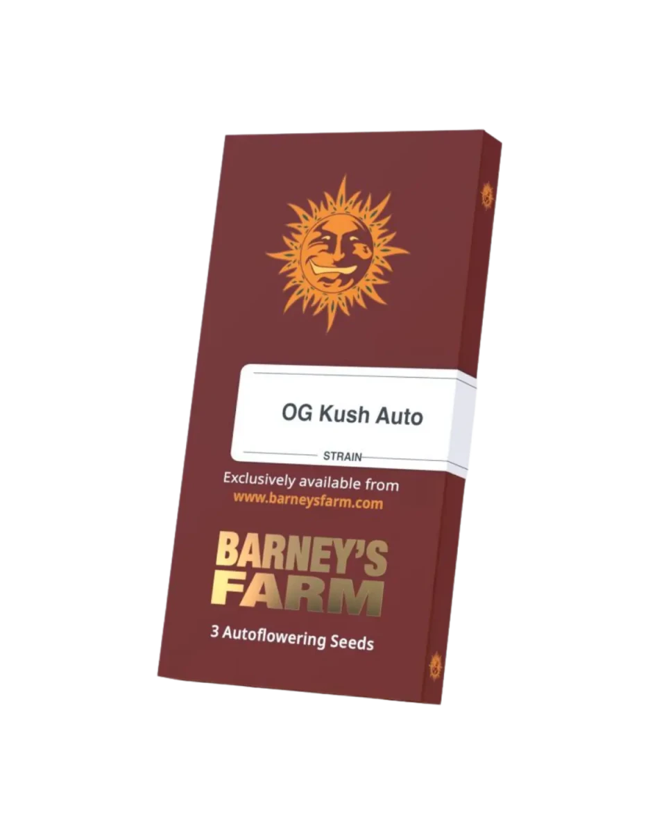 OG Kush Auto Cannabissamen von Barney's Farm – feminisierte Autoflower mit erdig-würzigem Kush-Profil