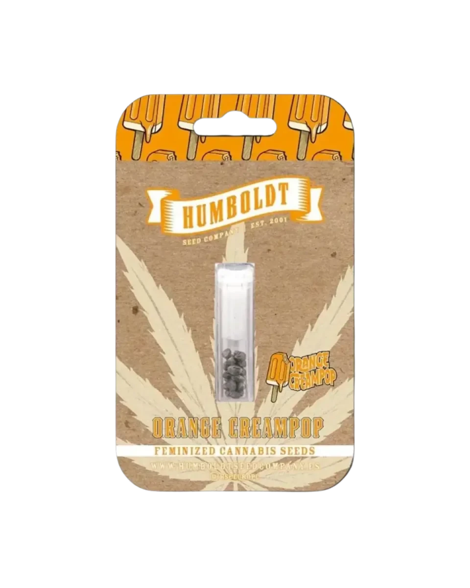 Orange Creampop von Humboldt Seed Company