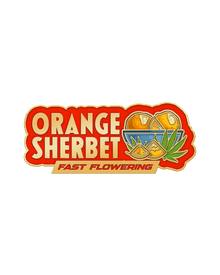 Orange Sherbet FF Fast Buds