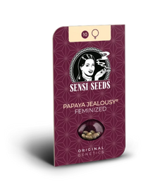 Papaya Jealousy von Sensi Seeds – Samenpackung, feminisierte Cannabis Samen