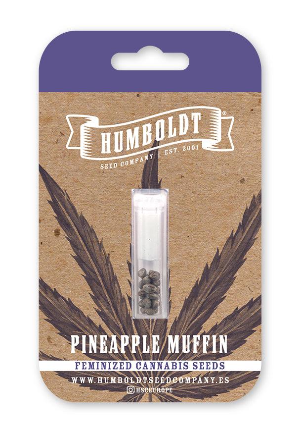 humboldt-seed-company-pineapple-muffin