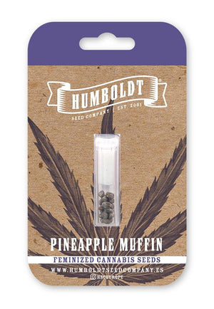 humboldt-seed-company-pineapple-muffin