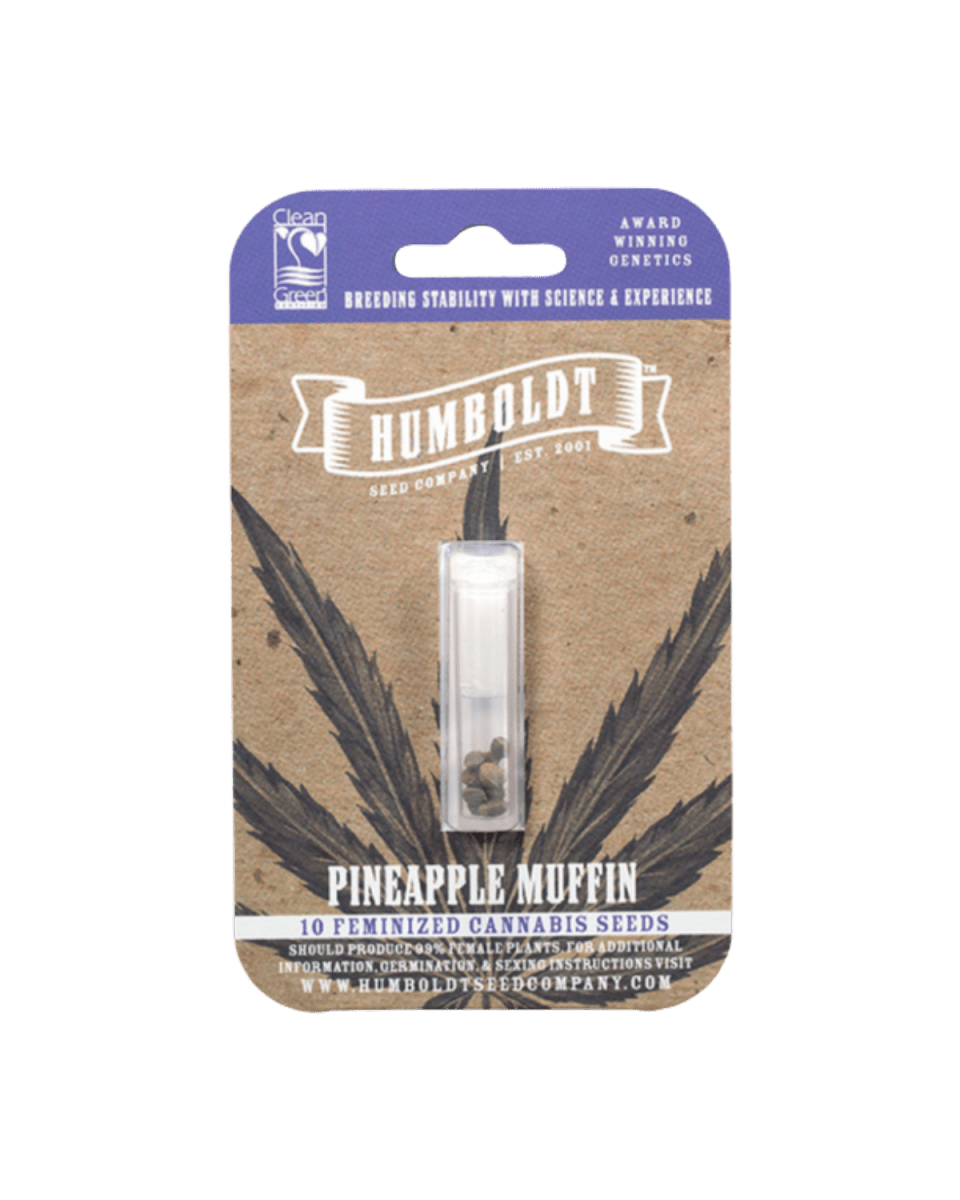 Pineapple Muffin feminisierte Cannabis Samen