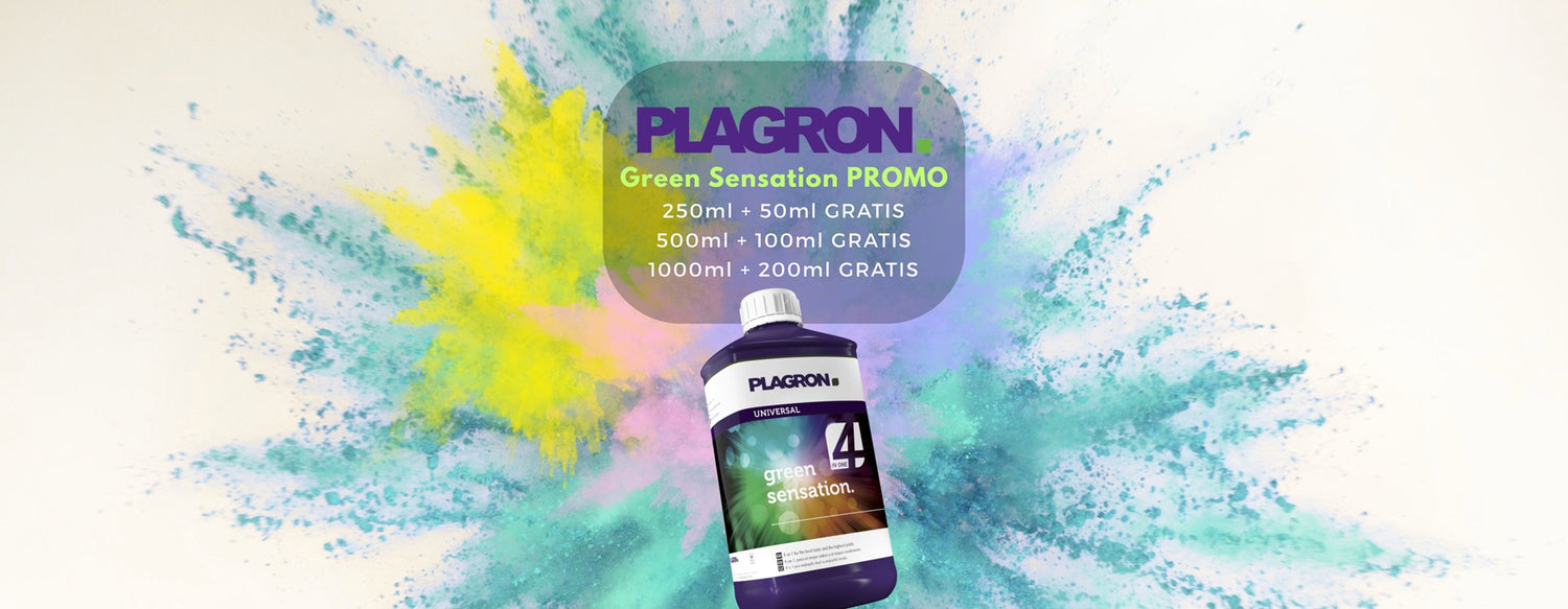 plagron-green-sensation-promo