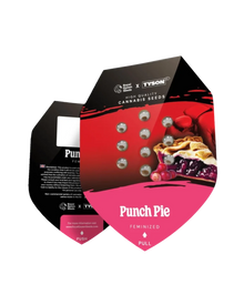 Originale Packung Punch Pie feminisiert; Royal Queen Seeds x Tyson