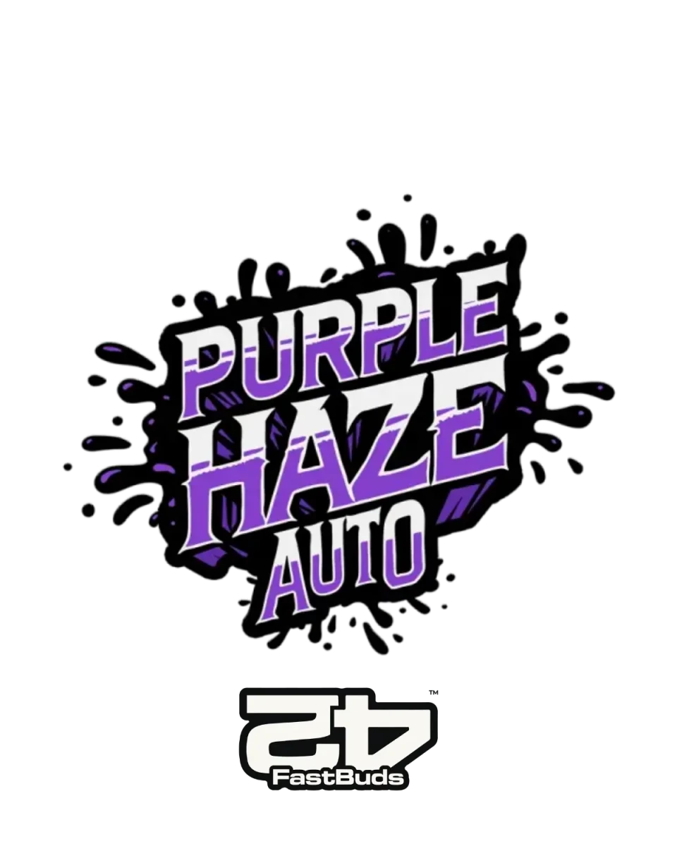 Purple Haze Auto Cannabis Samen von Fast Buds