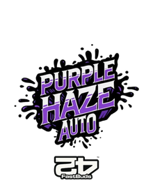 Purple Haze Auto Cannabis Samen von Fast Buds
