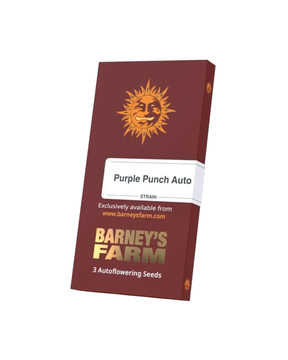 Originalverpackung Purple Punch Auto von Barney's Farm