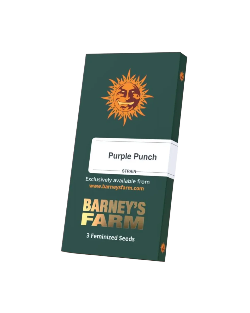 Originaverpackung Purple Punch Samen von Barney's Farm