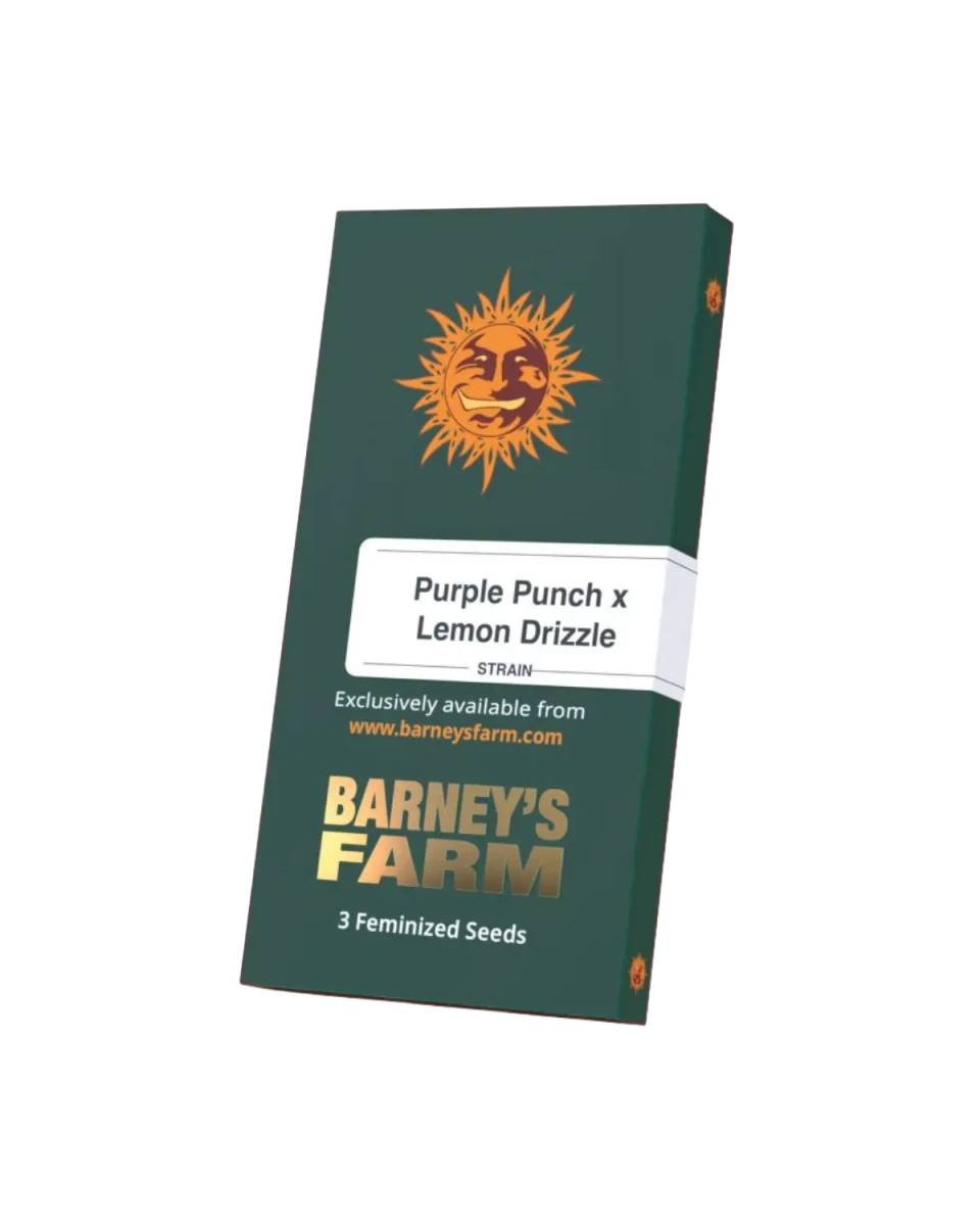Purple Punch x Lemon Drizzle Originalverpackung