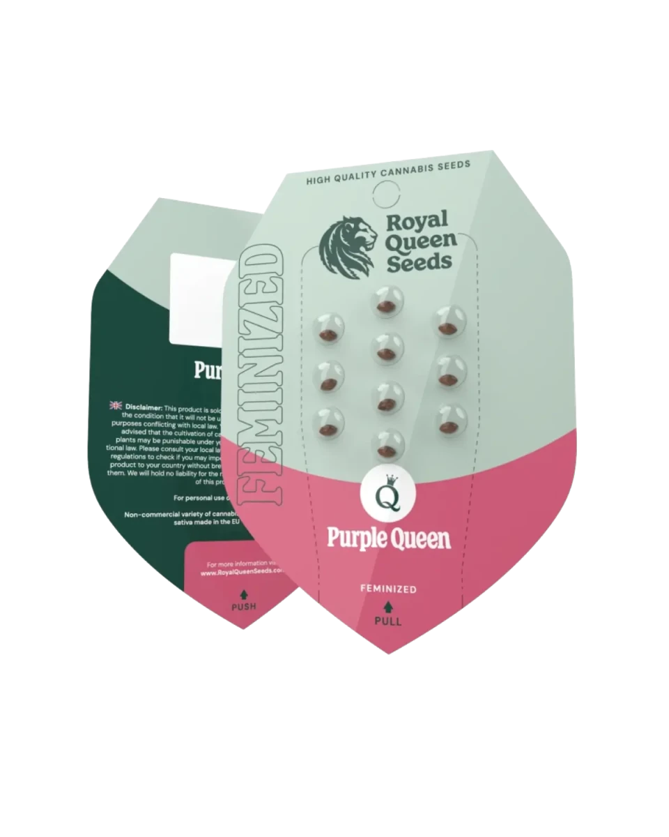 Samenpackung Purple Queen feminisiert
