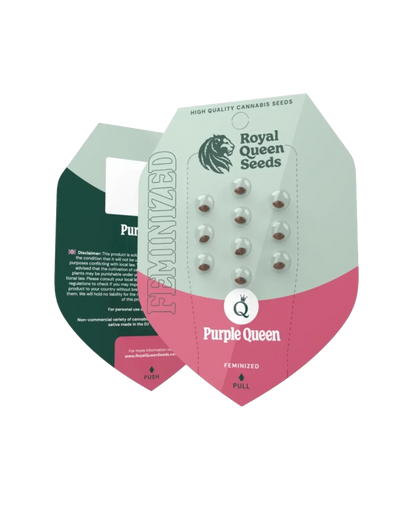 Samenpackung Purple Queen feminisiert