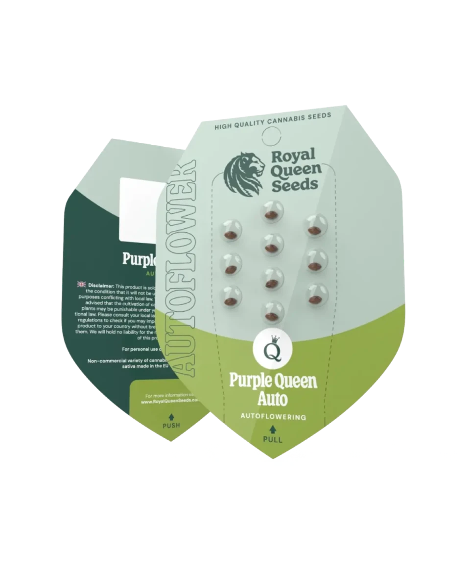 Purple Queen Auto von Royal Queen Seeds, Originalverpackung